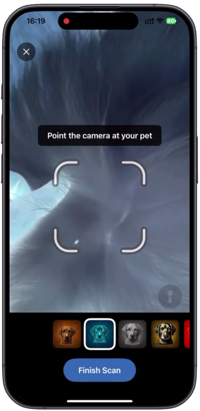 Real-time tick scanning with live camera filter